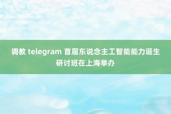 调教 telegram 首届东说念主工智能能力诞生研讨班在上海举办