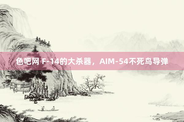 色吧网 F-14的大杀器，AIM-54不死鸟导弹