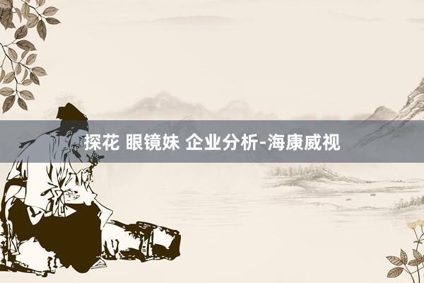 探花 眼镜妹 企业分析-海康威视