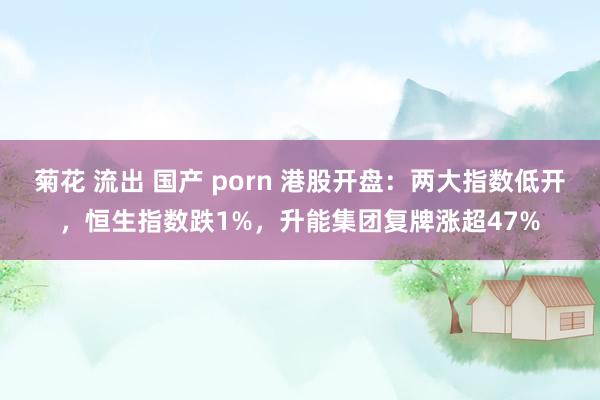 菊花 流出 国产 porn 港股开盘：两大指数低开，恒生指数跌1%，升能集团复牌涨超47%