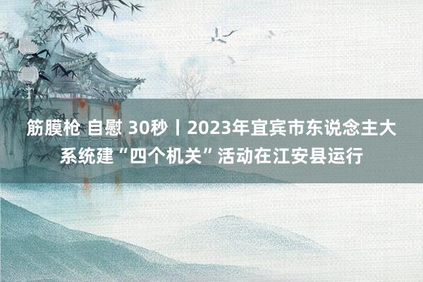 筋膜枪 自慰 30秒丨2023年宜宾市东说念主大系统建“四个机关”活动在江安县运行