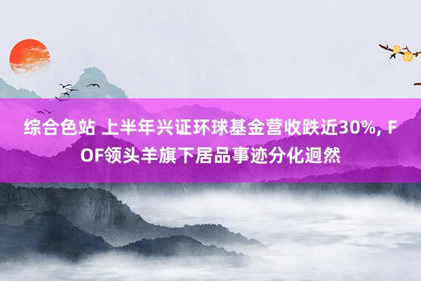 综合色站 上半年兴证环球基金营收跌近30%， FOF领头羊旗下居品事迹分化迥然