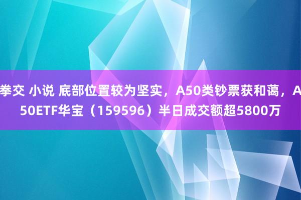 拳交 小说 底部位置较为坚实，A50类钞票获和蔼，A50ETF华宝（159596）半日成交额超5800万