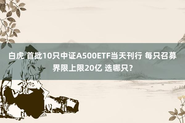 白虎 首批10只中证A500ETF当天刊行 每只召募界限上限20亿 选哪只？