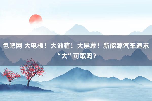 色吧网 大电板！大油箱！大屏幕！新能源汽车追求“大”可取吗？