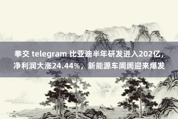 拳交 telegram 比亚迪半年研发进入202亿，净利润大涨24.44%，新能源车阛阓迎来爆发