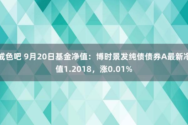 戒色吧 9月20日基金净值：博时景发纯债债券A最新净值1.2018，涨0.01%