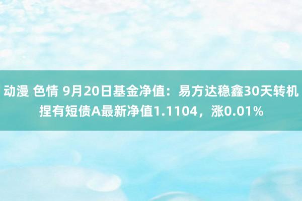 动漫 色情 9月20日基金净值：易方达稳鑫30天转机捏有短债A最新净值1.1104，涨0.01%