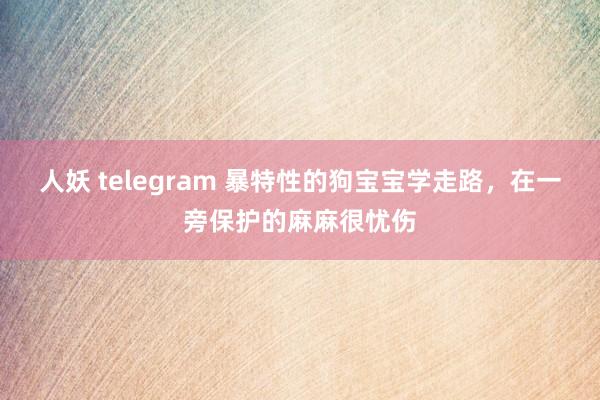 人妖 telegram 暴特性的狗宝宝学走路，在一旁保护的麻麻很忧伤