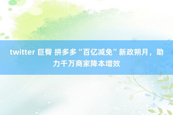 twitter 巨臀 拼多多“百亿减免”新政朔月，助力千万商家降本增效