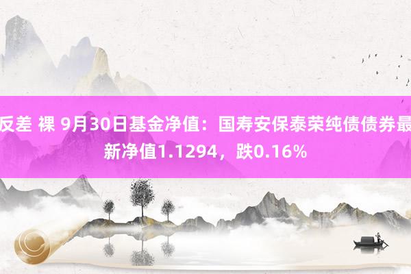 反差 裸 9月30日基金净值：国寿安保泰荣纯债债券最新净值1.1294，跌0.16%