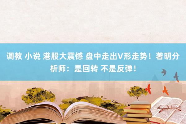 调教 小说 港股大震憾 盘中走出V形走势！著明分析师：是回转 不是反弹！