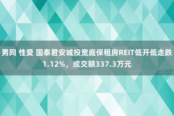 男同 性愛 国泰君安城投宽庭保租房REIT低开低走跌1.12%，成交额337.3万元