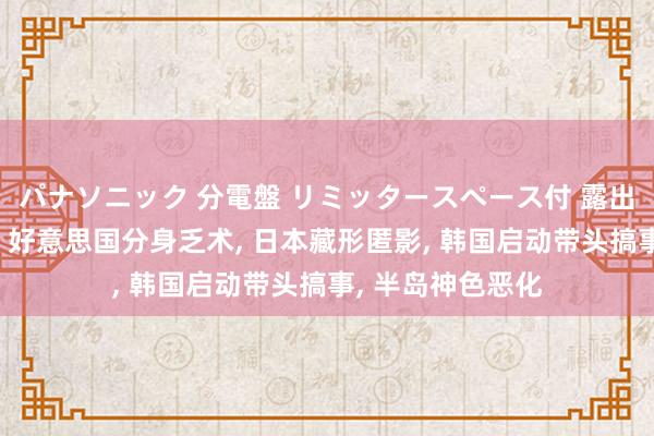 パナソニック 分電盤 リミッタースペース付 露出・半埋込両用形 好意思国分身乏术， 日本藏形匿影， 韩国启动带头搞事， 半岛神色恶化