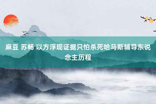 麻豆 苏畅 以方浮现证据只怕杀死哈马斯辅导东说念主历程