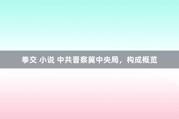 拳交 小说 中共晋察冀中央局，构成概览