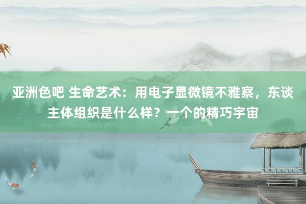 亚洲色吧 生命艺术：用电子显微镜不雅察，东谈主体组织是什么样？一个的精巧宇宙