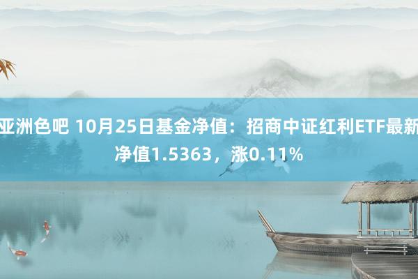 亚洲色吧 10月25日基金净值：招商中证红利ETF最新净值1.5363，涨0.11%