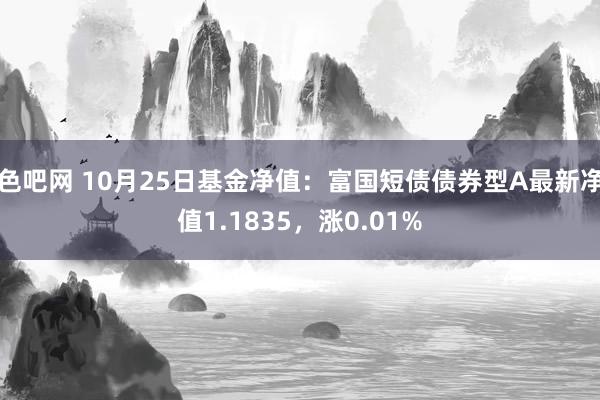 色吧网 10月25日基金净值：富国短债债券型A最新净值1.1835，涨0.01%