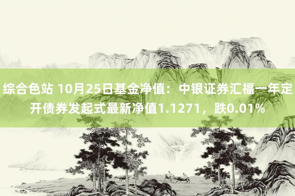 综合色站 10月25日基金净值：中银证券汇福一年定开债券发起式最新净值1.1271，跌0.01%