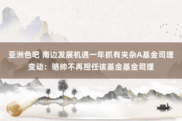 亚洲色吧 南边发展机遇一年抓有夹杂A基金司理变动：骆帅不再担任该基金基金司理