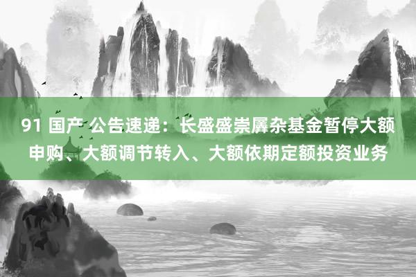 91 国产 公告速递：长盛盛崇羼杂基金暂停大额申购、大额调节转入、大额依期定额投资业务