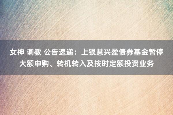 女神 调教 公告速递：上银慧兴盈债券基金暂停大额申购、转机转入及按时定额投资业务