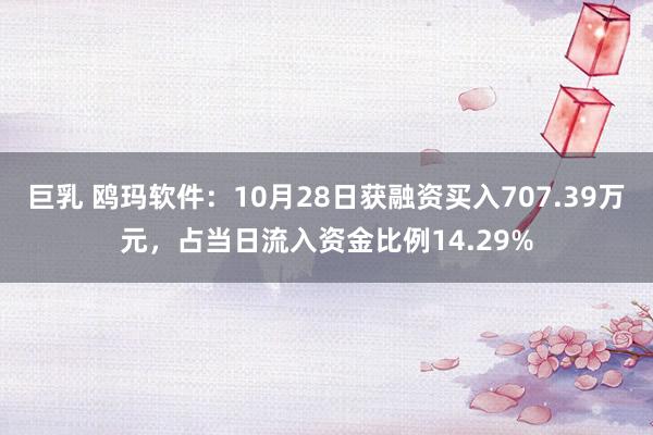 巨乳 鸥玛软件：10月28日获融资买入707.39万元，占当日流入资金比例14.29%