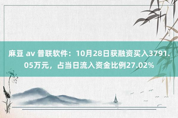 麻豆 av 普联软件：10月28日获融资买入3791.05万元，占当日流入资金比例27.02%