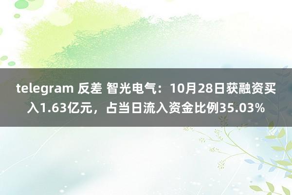 telegram 反差 智光电气：10月28日获融资买入1.63亿元，占当日流入资金比例35.03%