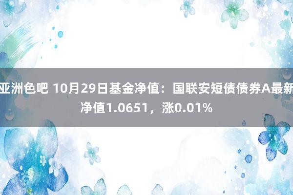 亚洲色吧 10月29日基金净值：国联安短债债券A最新净值1.0651，涨0.01%