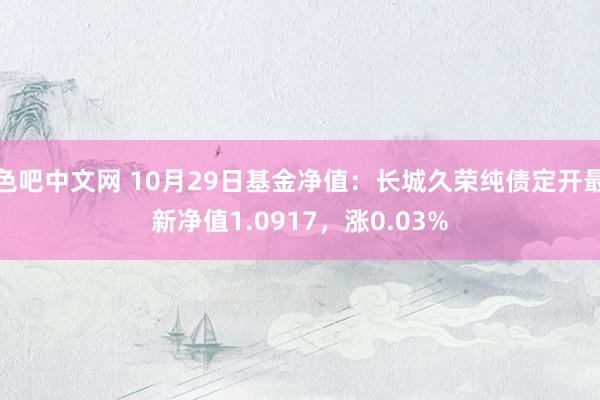 色吧中文网 10月29日基金净值：长城久荣纯债定开最新净值1.0917，涨0.03%