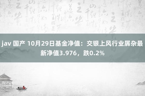 jav 国产 10月29日基金净值：交银上风行业羼杂最新净值3.976，跌0.2%