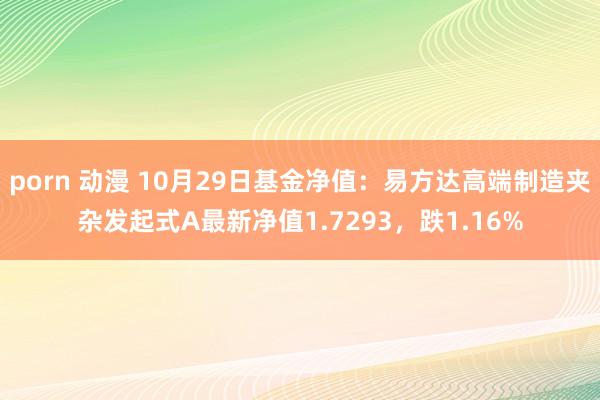 porn 动漫 10月29日基金净值：易方达高端制造夹杂发起式A最新净值1.7293，跌1.16%