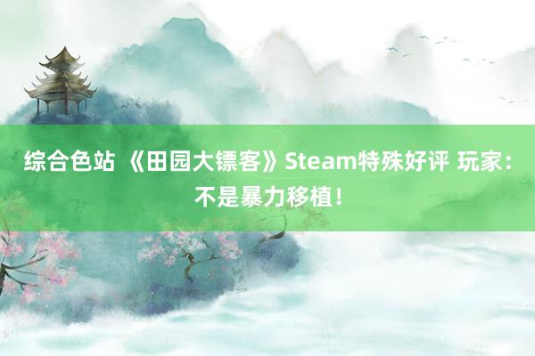 综合色站 《田园大镖客》Steam特殊好评 玩家：不是暴力移植！