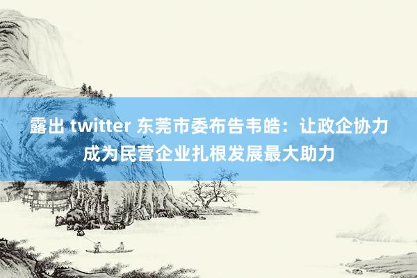 露出 twitter 东莞市委布告韦皓：让政企协力成为民营企业扎根发展最大助力