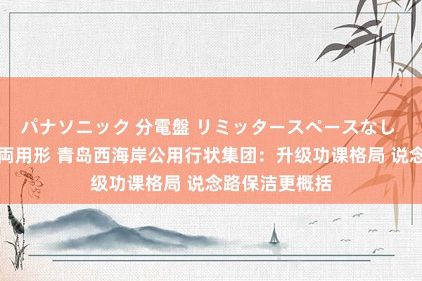 パナソニック 分電盤 リミッタースペースなし 露出・半埋込両用形 青岛西海岸公用行状集团：升级功课格局 说念路保洁更概括