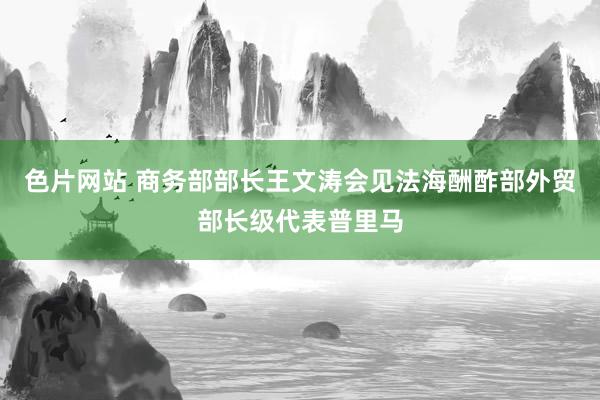 色片网站 商务部部长王文涛会见法海酬酢部外贸部长级代表普里马