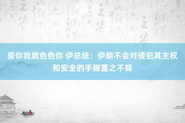 爱你我就色色你 伊总统：伊朗不会对侵犯其主权和安全的手脚置之不睬