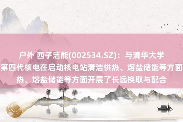 户外 西子洁能(002534.SZ)：与清华大学、中广核预备探讨院就第四代核电在启动核电站清洁供热、熔盐储能等方面开展了长远换取与配合