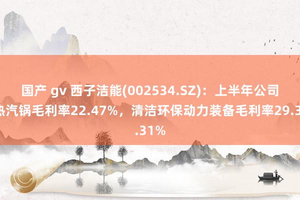 国产 gv 西子洁能(002534.SZ)：上半年公司余热汽锅毛利率22.47%，清洁环保动力装备毛利率29.31%