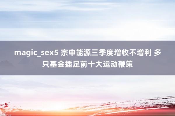 magic_sex5 宗申能源三季度增收不增利 多只基金插足前十大运动鞭策