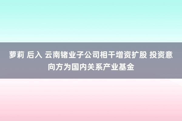 萝莉 后入 云南锗业子公司相干增资扩股 投资意向方为国内关系产业基金