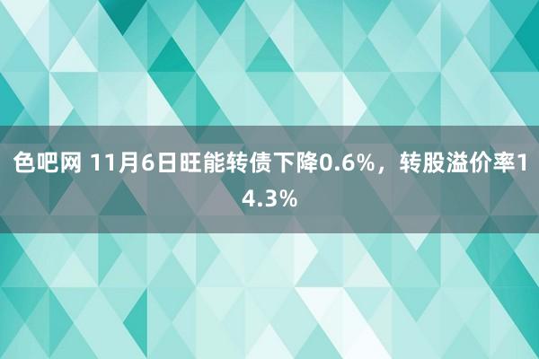 色吧网 11月6日旺能转债下降0.6%，转股溢价率14.3%