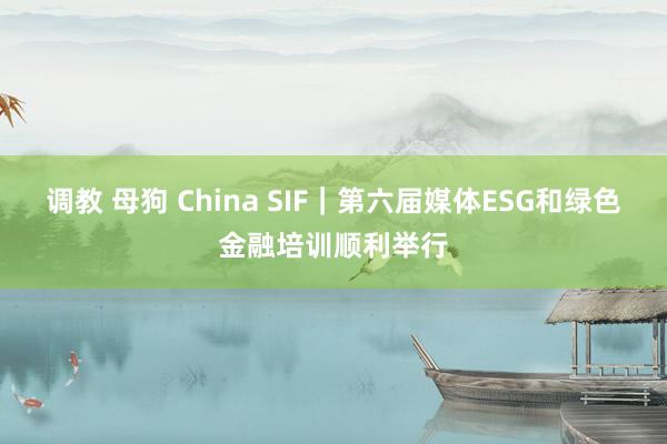 调教 母狗 China SIF｜第六届媒体ESG和绿色金融培训顺利举行