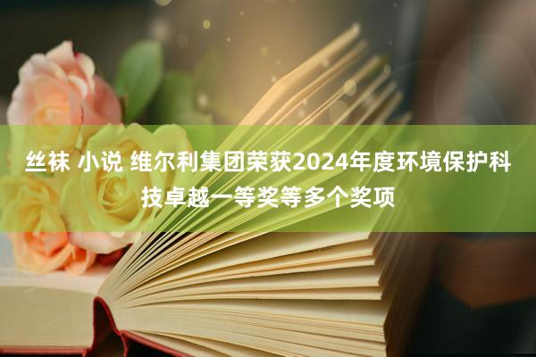 丝袜 小说 维尔利集团荣获2024年度环境保护科技卓越一等奖等多个奖项