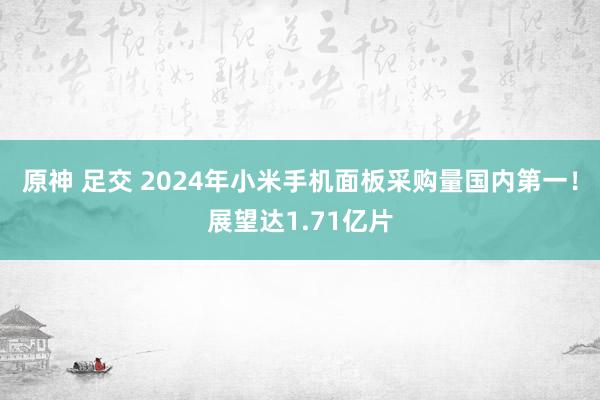 原神 足交 2024年小米手机面板采购量国内第一！展望达1.71亿片