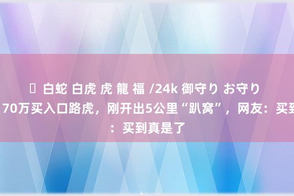 ✨白蛇 白虎 虎 龍 福 /24k 御守り お守り 须眉花170万买入口路虎，刚开出5公里“趴窝”，网友：买到真是了