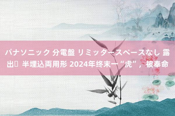 パナソニック 分電盤 リミッタースペースなし 露出・半埋込両用形 2024年终末一“虎”，被奉命