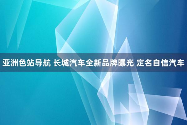 亚洲色站导航 长城汽车全新品牌曝光 定名自信汽车